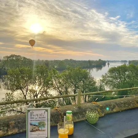 ベッド・アンド・ブレックファスト Chateau De La Boussiniere