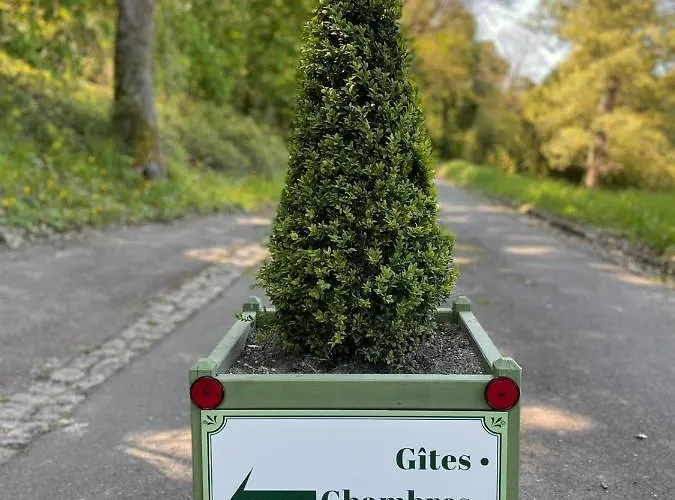 Alojamento de Acomodação e Pequeno-almoço Chateau De La Boussiniere Gennes-Val-de-Loire